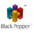 Black Pepper Exhibition Solutions